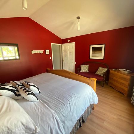 Rose Cottage Bed & Breakfast バルマウント エクステリア 写真