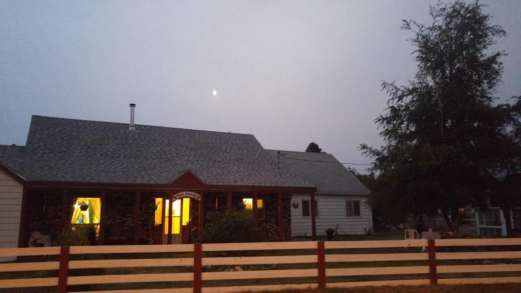 Rose Cottage Bed & Breakfast バルマウント エクステリア 写真